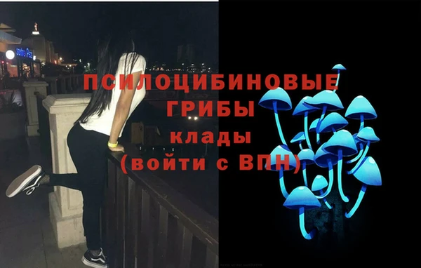 каннабис Тайга