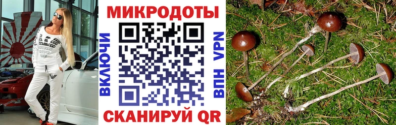 Галлюциногенные грибы Psilocybine cubensis сайты даркнета формула Артём